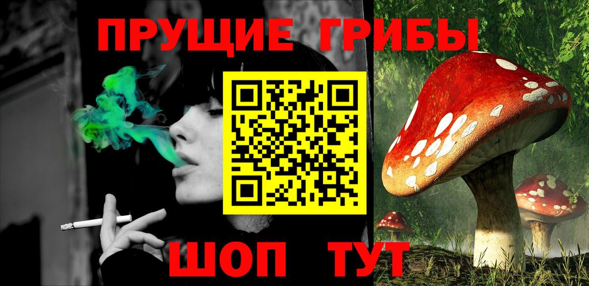 Галлюциногенные грибы прущие грибы  Вход с VPN  Майкоп  Галлюциногенные грибы Psilocybine cubensis 